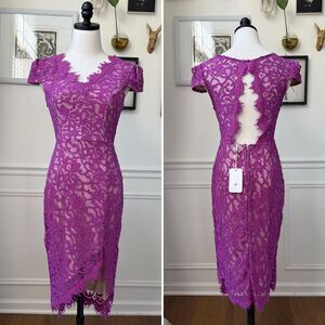 NWT L’ Atiste by Amy Violet Purple Lace Cocktail Dress M